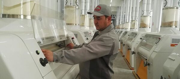 В новом цехе мукомольного комбината Анхор в Согдийской области В новом цехе мукомольного комбината Анхор в Согдийской области - Sputnik Таджикистан