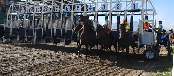 В Душанбе прошли скачки, посвященные Дню молодежи - Sputnik Тоҷикистон