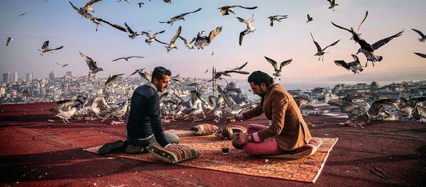 Снимок Завтрак на привале фотографа Себнема Коскуна, вошедший в шорт-лист лауреатов конкурса им. Андрея Стенина - Sputnik Таджикистан