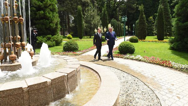 Рабочий визит премьер-министра РФ Д. Медведева в Таджикистан - Sputnik Тоҷикистон