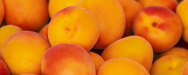 Абрикосы, архивное фото - Sputnik Таджикистан