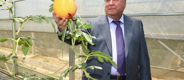 Рахмон посетил сельскохозяйственный институт в Китае - Sputnik Таджикистан