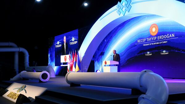 Торжественная церемония открытия Трансанатолийского газопровода (TANAP) в Турции - Sputnik Таджикистан