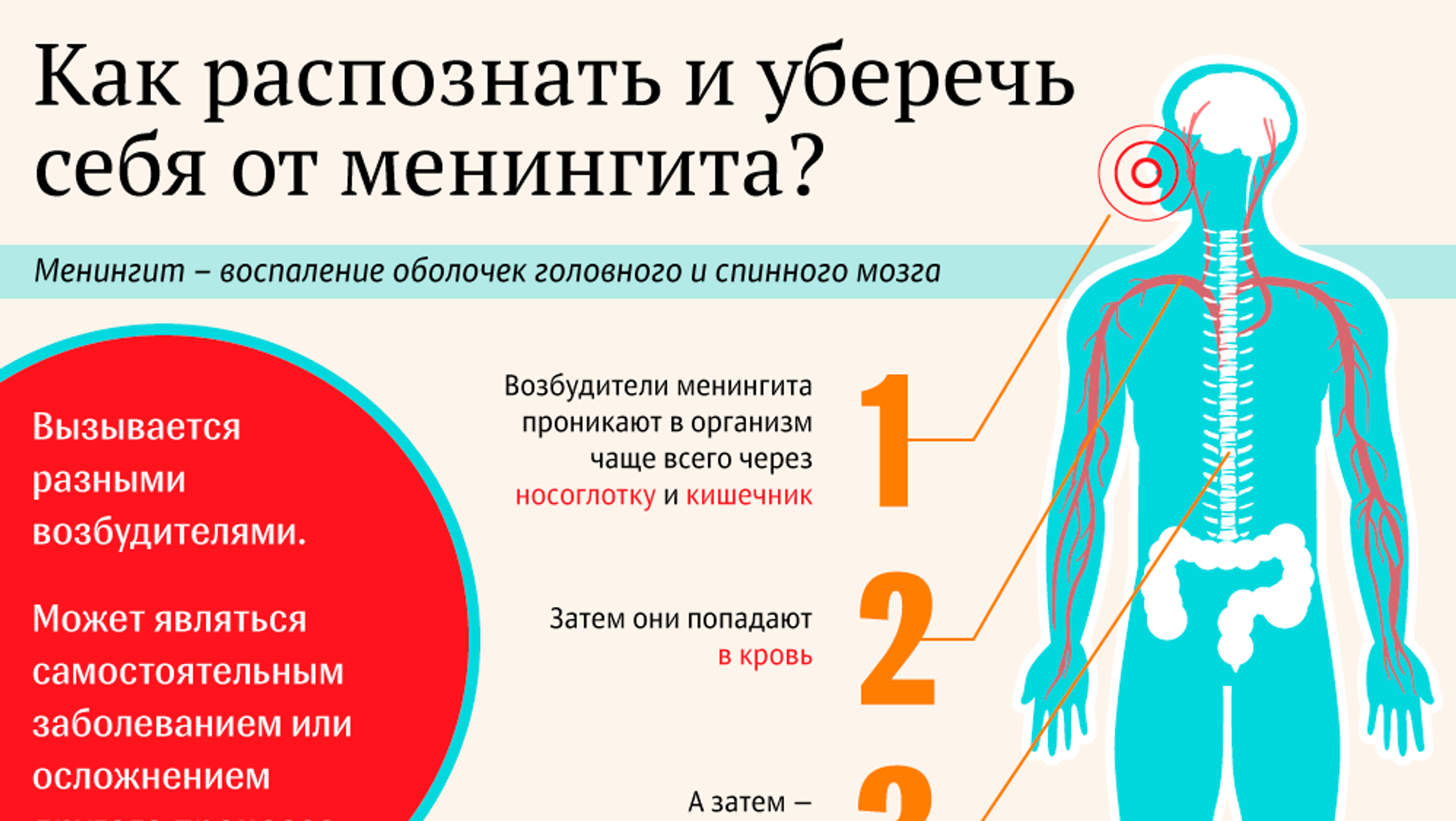 Клиническая картина менингита