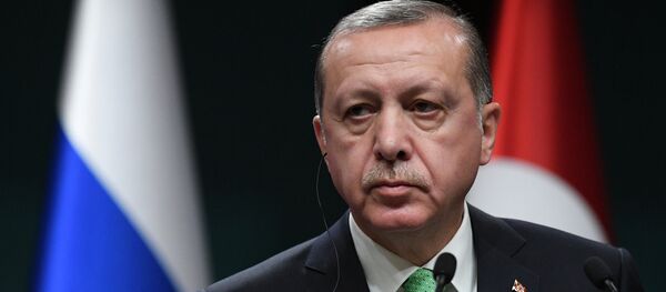 Президент Турции Реджеп Тайип Эрдоган, архивное фото Президент Турции Реджеп Тайип Эрдоган, архивное фото - Sputnik Тоҷикистон