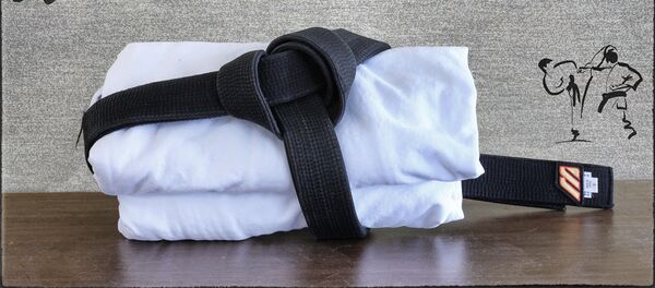 Спортивная форма каратиста, архивное фото - Sputnik Таджикистан