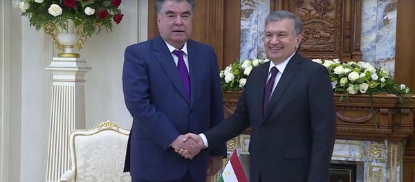 Переговоры президента Таджикистана Эмомали Рахмона с главой Узбекистана Шавкатом Мирзиёевым - Sputnik Таджикистан