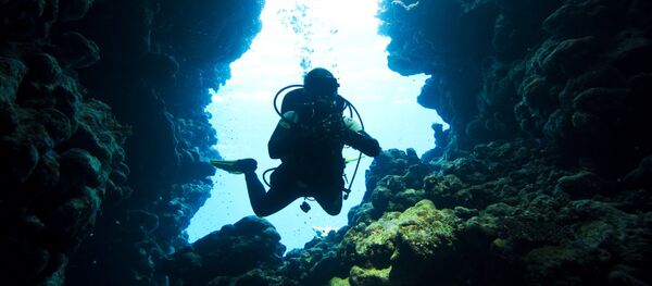 Аквалангист - Sputnik Таджикистан