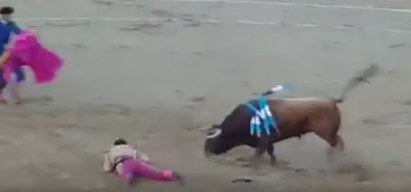 В Испании бык снял скальп с матадора - Sputnik Таджикистан