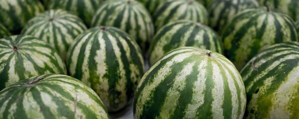 Арбузы, архивное фото - Sputnik Таджикистан