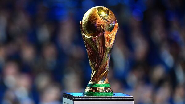 Кубок чемпионата мира по футболу 2018, архивное фото - Sputnik Таджикистан