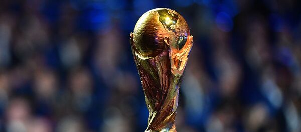 Кубок чемпионата мира по футболу 2018, архивное фото Кубок чемпионата мира по футболу 2018, архивное фото - Sputnik Таджикистан