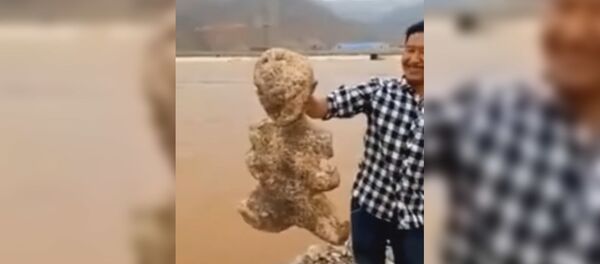 В Китае нашли живого человекоподобного морского мутанта В Китае нашли живого человекоподобного морского мутанта - Sputnik Таджикистан