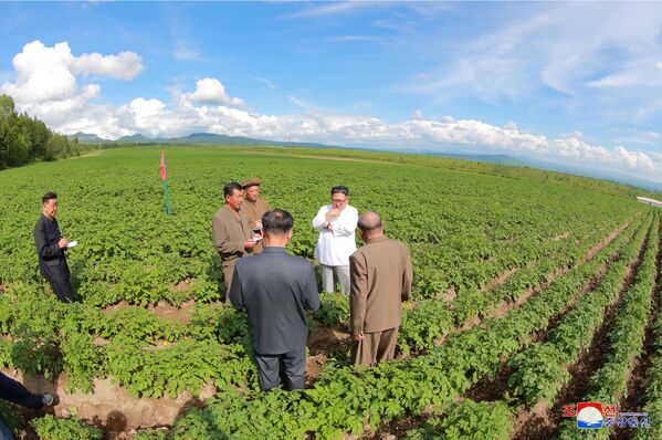 Лидер Северной Кореи Ким Чен Ын на сельхозпредприятии Chunghung в уезде Samjiyon - Sputnik Таджикистан
