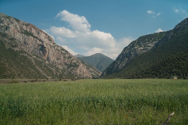 Какой сегодня праздник в Таджикистане и мире: 13 сентября Какой сегодня праздник в Таджикистане и мире: 13 сентября - Sputnik Таджикистан