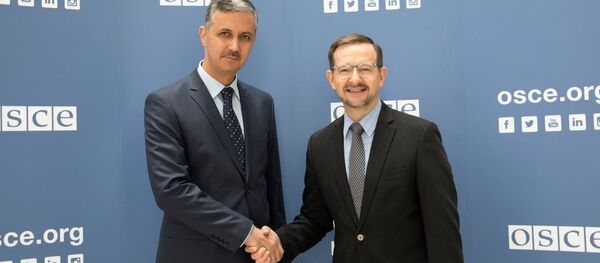 Первый зам министерства Иностранных дел Таджикистана с главой ОБСЕ, архивное фото - Sputnik Тоҷикистон