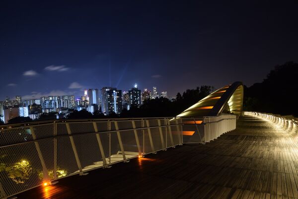 Мост Волны Хендерсона - самый высокий в Сингапуре пешеходный мост, он поднят над землей на 36 метров. В основе моста находятся семь кривых волнистых ребер из стали, поочередно возвышающихся над палубой, придавая мосту форму волны. Особенно красиво мост выглядит ночью, когда включается  подсветка, создавая множество загадочных теней – это действительно потрясающее зрелище - Sputnik Таджикистан