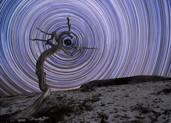 Работа Holding Due North фотографа Jake Mosher, вошедшая в шорт-лист конкурса Insight Investment Astronomy Photography of the Year 2018 - Sputnik Таджикистан