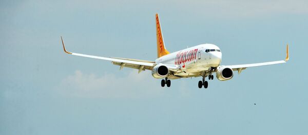 Самолёт Boeing 737-800 авиакомпании Pegasus Airlines, архивное фото - Sputnik Тоҷикистон