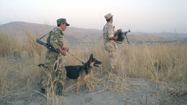 На таджикско-афганской границе, архивное фото - Sputnik Тоҷикистон