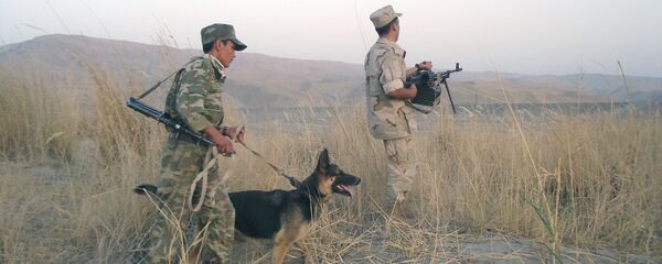 На таджикско-афганской границе, архивное фото - Sputnik Таджикистан