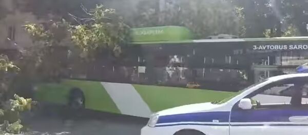 Пассажирский автобус в Ташкенте врезался в дерево Пассажирский автобус в Ташкенте врезался в дерево - Sputnik Таджикистан