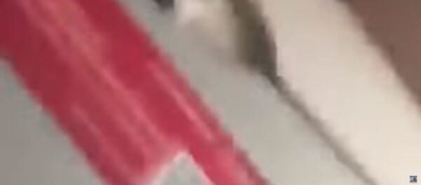 Пассажир самолета в Мексике снял момент крушения изнутри - Sputnik Таджикистан