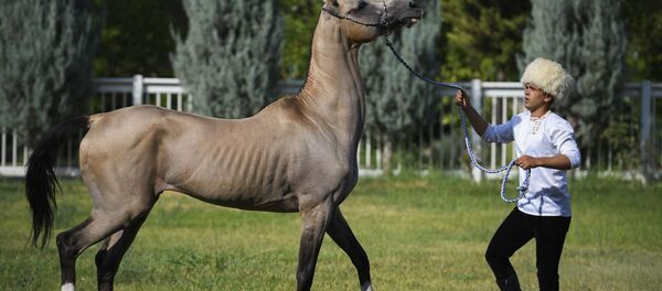Мужчина с лошадью, архивное фото Мужчина с лошадью, архивное фото - Sputnik Таджикистан