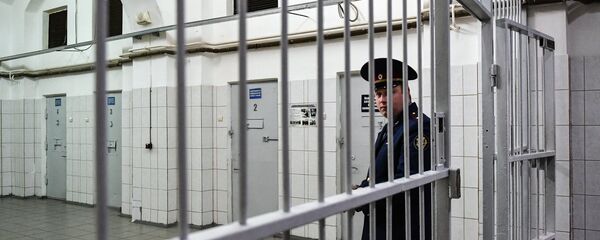 Сизо, архивное фото Сизо, архивное фото - Sputnik Тоҷикистон