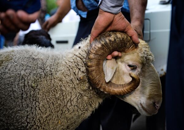 Иди Қурбон-2019: мафҳум ва анъанаҳои ҷашн - Sputnik Тоҷикистон