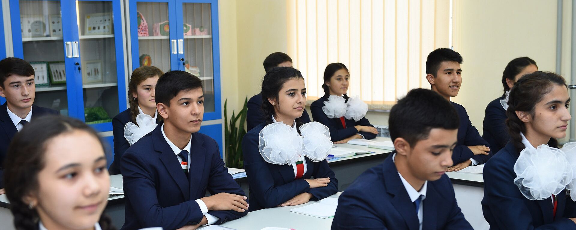 Школьники на уроке, архивное фото  - Sputnik Таджикистан, 1920, 23.02.2024