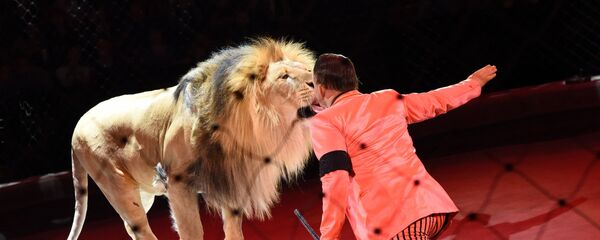 Премьера цирковой постановки Эмоци и… Премьера цирковой постановки Эмоци и… - Sputnik Тоҷикистон