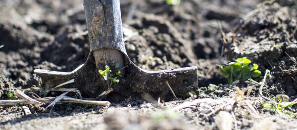 Лопата, архивное фото - Sputnik Тоҷикистон