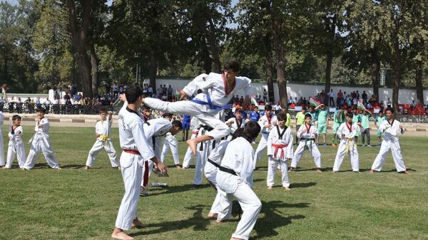 Спортивные состязания в парке по карате, архивное фото - Sputnik Таджикистан