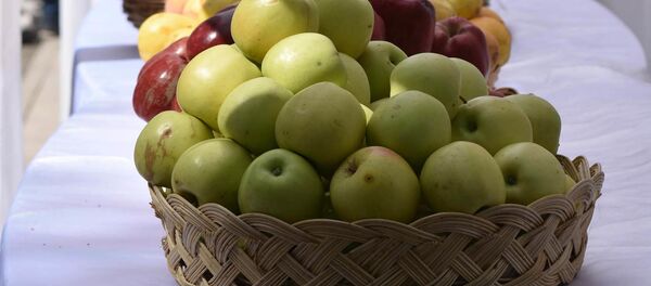 Яблоки, архивное фото Яблоки, архивное фото - Sputnik Таджикистан