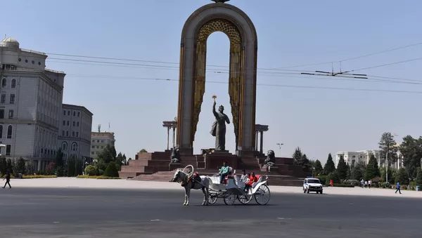 Карета с лошадью для туристов в Таджикитса, архивное фото - Sputnik Тоҷикистон