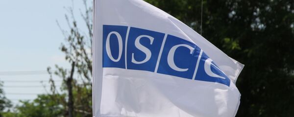 Флаг на автомобиле кортежа ОБСЕ, архивное фото - Sputnik Тоҷикистон