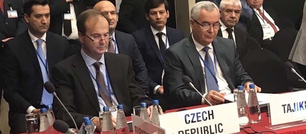 Выступление представителей Таджикистана на пятой рабочей сессии Ежегодного Совещании БДИПЧ ОБСЕ - Sputnik Тоҷикистон