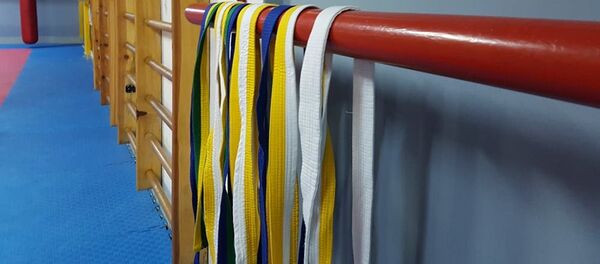 Пояса для Таэквондо в спортивном зале, архивное фото - Sputnik Таджикистан