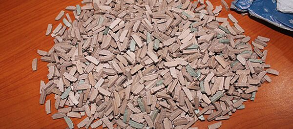 Задержание контрабанды антарктических и психотропных веществ Задержание контрабанды антарктических и психотропных веществ - Sputnik Таджикистан