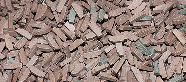 Задержание контрабанды антарктических и психотропных веществ - Sputnik Таджикистан