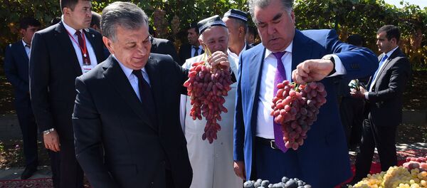 Президент Узбекистана Шавкат Мирзиёев и президент Таджикистана Эмомали Рахмон - Sputnik Тоҷикистон