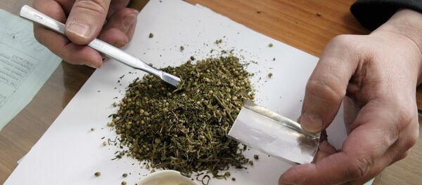 В лаборатории по исследованию наркотических средств, архивное фото - Sputnik Тоҷикистон