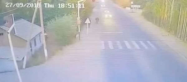 Объезжал корову — на видео попал момент смертельного наезда на ребенка в Оше - Sputnik Таджикистан