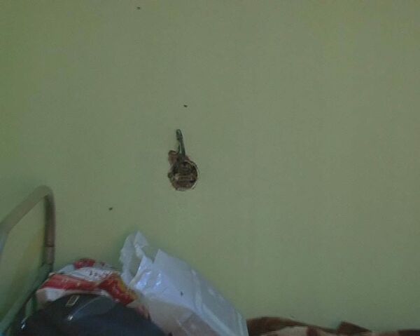 Рейди милисаҳо дар донишгоҳи омӯзгорӣ ҷавонони ришдор ва нонхӯракҳои хобгоҳро ошкор кард - Sputnik Тоҷикистон