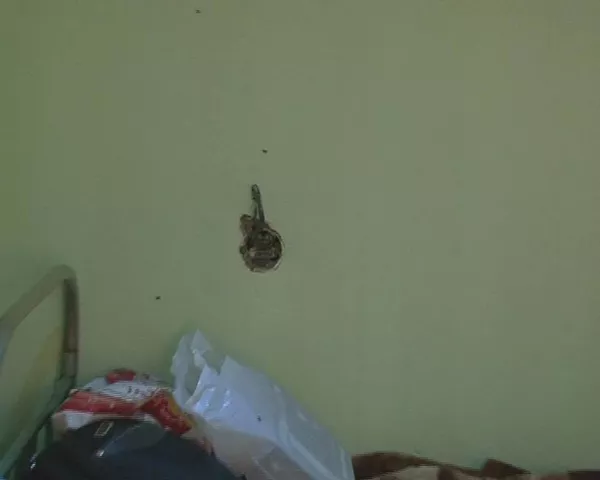 Рейди милисаҳо дар донишгоҳи омӯзгорӣ ҷавонони ришдор ва нонхӯракҳои хобгоҳро ошкор кард
