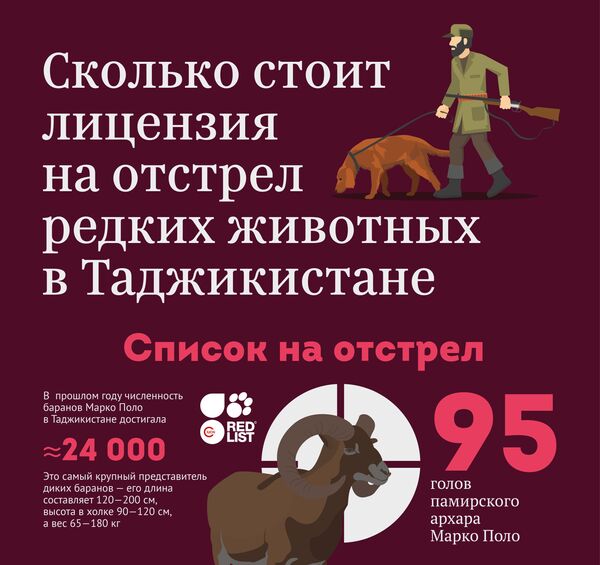 Сколько стоит лицензия на отстрел редких животных в Таджикистане - Sputnik Таджикистан