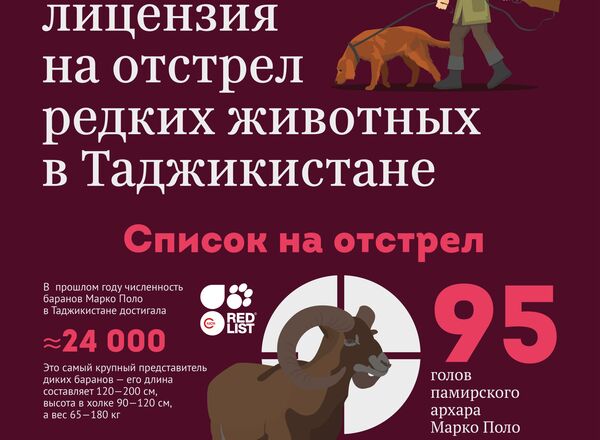 Сколько стоит лицензия на отстрел редких животных в Таджикистане Сколько стоит лицензия на отстрел редких животных в Таджикистане - Sputnik Таджикистан
