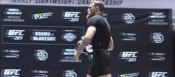 Нурмагомедова освистали фанаты Макгрегора Нурмагомедова освистали фанаты Макгрегора - Sputnik Таджикистан