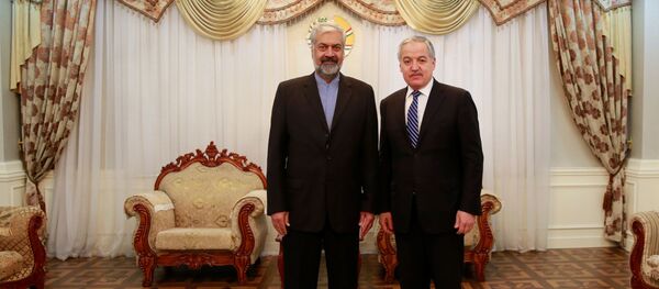 Мулоқоти Сироҷиддин Муҳриддин бо Муовини аввали вазири корҳои хориҷии Эрон Муртазо Сармадӣ - Sputnik Тоҷикистон